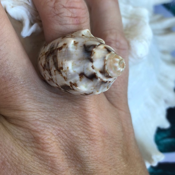 Gorgeous goddess natural shell ring - Picture 1 of 2